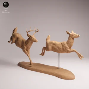 Anml-260114 White-tailed deer run